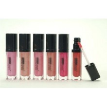 Beauty Treats Shimmery Lip Gloss Set 6 Colors