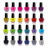 Shany Cosméticos El clavo Cosmopolitan conjunto del polaco (24 colores superiores de la calidad y de secado rápido), 0.5 fl oz c