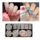 Né Jolie Nail Modèle Stamping Nail Printing Plates Vines Plate Image Dentelle Chevron BP-L028