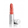 ELF del lápiz labial de color cautivador Creado por 287s