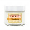Las abejas de Burt día de la resplandor Cream, 2 onzas